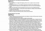 Construction Project Manager Resume Sample Doc Project Manager Resume Sample Doc 2021 – Shefalitayal