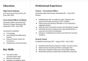 Correctional Officer Resume Samples No Experience Correctional Officer Resume Examples – Resumebuilder.com