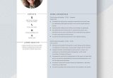 Counseling Psychology Insurance Auditor Resume Sample Internal Resume Templates – Design, Free, Download Template.net