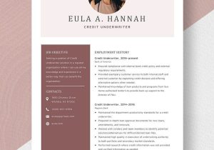 Counseling Psychology Insurance Auditor Resume Sample Underwriter Resume Templates – Design, Free, Download Template.net