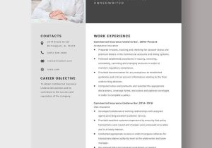 Counseling Psychology Insurance Auditor Resume Sample Underwriter Resume Templates – Design, Free, Download Template.net