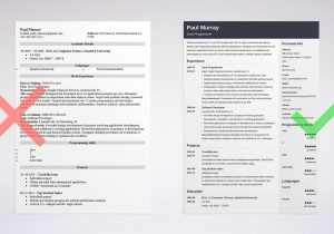 Cracking the Coding Interview Resume Template Programmer Resume Examples (template & Guide)