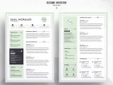 Create Your Resume Using General Templates Resume Template 3 Page Cv Template â Free Resumes, Templates …