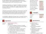 Creating A Cyber Security Resume Sample Cyber Security Engineer Resume Sample 2022 Writing Tips …