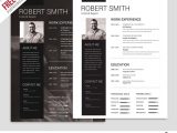 Creative Professional Resume Templates Free Download Free Resume Templates In Photoshop (psd) format – Creativebooster