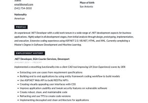 Creative Resume for Net Developer Sample Net Developer Resume & Writing Guide  17 Templates 2022
