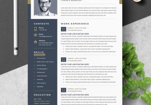 Creative Resume Templates for Freshers Free Download Professional Word Resume Template Creative Illustrator Templates …