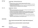 Credit and Collections Analyst Resume Sample Sample Resume Of Credit Analyst with Template & Writing Guide …