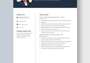 Credit and Collections Manager Resume Sample Free Free Credit and Collections Manager Resume Template – Word …