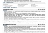 Credit Card Sales Executive Resume Samples Retail/ Consumer Banker Resume Examples & Template (with Job …