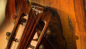 Cruise Ship Pub Guitarist Sample Resume Acoustic Music Gmbh & Co. Kg – Katalog 2022 by Acoustic Music Gmbh …