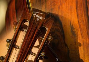 Cruise Ship Pub Guitarist Sample Resume Acoustic Music Gmbh & Co. Kg – Katalog 2022 by Acoustic Music Gmbh …