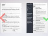 Customer Service Technical Support Sample Resume It Support Resume Examples (also for Help Desk & Technician)