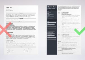 Customer Service Technical Support Sample Resume It Support Resume Examples (also for Help Desk & Technician)