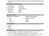 Data Entry Operator Resume Sample In Word Resume format for Freshers Data Entry Operator – New Thinking New …