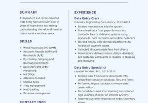 Data Entry Resume Sample with Experience Data Entry Resume Samples and Tips [pdflancarrezekiqdoc] Resumes Bot …