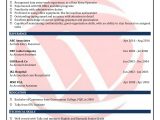 Data Entry Resume Sample with Experience Data Entry Sample Resumes, Download Resume format Templates!