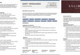 Data Science Dream Job Resume Template How to Write A Great Data Science Resume â Dataquest
