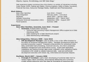 Data Warehouse Project Manager Resume Sample Data Warehouse Project Manager Resume Sample – Resume : Resume …