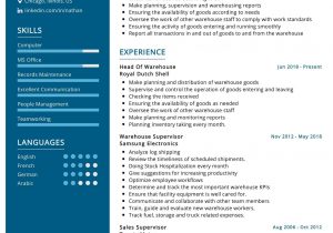 Data Warehouse Project Manager Resume Sample Warehouse Manager Resume Sample 2021 Writing Tips – Resumekraft