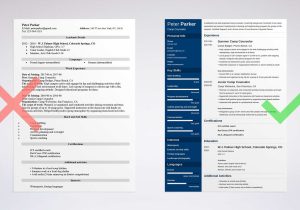 Daycare after School Counselor Resume Sample Camp Counselor Resume Samples & Writing Guide