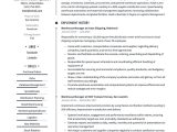 Dealer and Field System Management Resume Sample Warehouse Manager Resume & Writing Guide  18 Templates