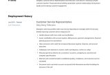 Dealer Customr Service Responsibleity and Resume Sample Customer Service Representative Resume & Guide 12 Pdf 2022