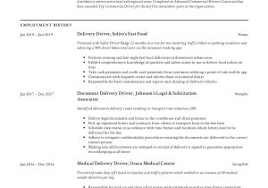 Delivery Driver Of Auto Parts Resume Sample Delivery Driver Resume & Writing Guide  12 Resume Examples 2022