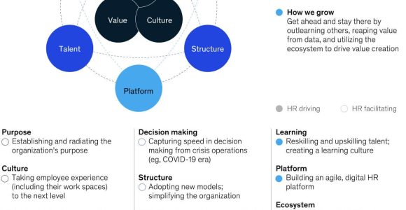 Deloitte Human Capital Hr Transformation Sample Resumes Hr Digital Transformation In 2022: top Priorities for Business Leaders