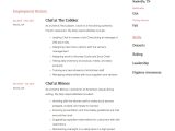 Demi Chef De Partie Resume Sample Chef Resume & Writing Guide 12 Free Templates Pdf 2022