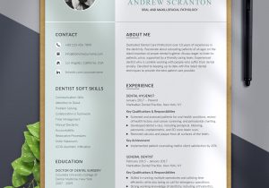 Dental assistant and Receptionist Resume Sample Dental assistant Resume for Word Dentist Cv Template Dental – Etsy.de
