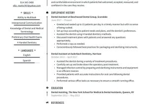 Dental assistant Level 2 Resume Sample Dental assistant Resume Examples & Writing Tips 2022 (free Guide)