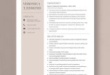 Dental Office Financial Coordinator Resume Sample Free Free Dental Treatment Coordinator Resume Template – Word …