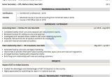 Department Of Energy Accountant Resume Sample Sample Resumes and Cvs by Industry Resumod