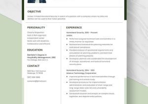 Department Of Homeland Security Resume Sample Free Free Homeland Security Resume Template – Word, Apple Pages …