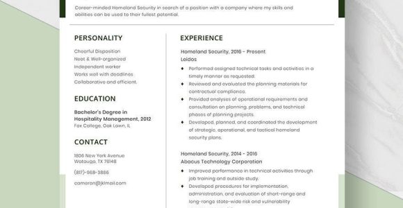 Department Of Homeland Security Resume Sample Free Free Homeland Security Resume Template – Word, Apple Pages …