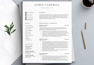 Department Of Homeland Security Resume Sample Government Contractor Resume Template Department Of Homeland …