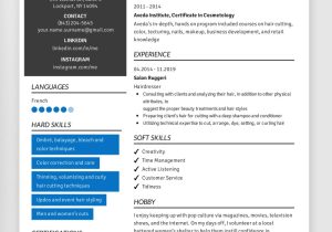 Describe Your Computer Skills Resume social Media Sample Computer Skills for Resume (how to List   Examples)