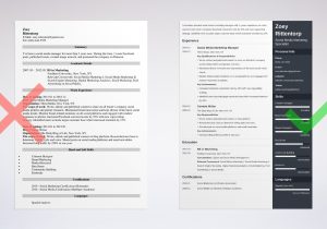Describe Your Computer Skills Resume social Media Sample social Media Manager Resume Sample (skills Included)