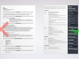 Describe Your Computer Skills Resume soical Media Sample social Media Manager Resume Sample (skills Included)
