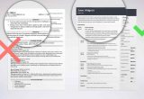 Detailed Resume Sample with Job Description Professional Resume Summary Examples (25lancarrezekiq Statements)