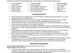 Developer Cum Selenium Tester Sample Resumes Engineer Resume