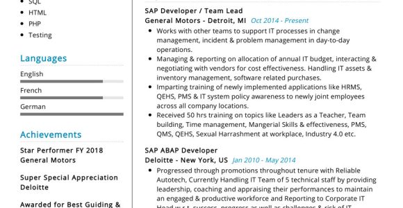 Developer Cum Selenium Tester Sample Resumes Professional Sap Resume Sample 2022 Writing Tips – Resumekraft