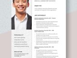 Diagnostic Lab Sales Rep Resume Sample Medical Laboratory Scientist Resume Template – Word, Apple Pages
