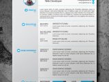 Diamond Resume Cv Template Free Download 25 Beautiful Free Resume Templates 2019 – Dovethemes
