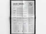 Diamond Resume Cv Template Free Download Diamond Resume Cv On Behance