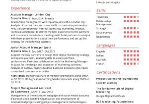 Digital Account Manager Resume Sample New York Account Manager Resume Sample 2022 Writing Tips – Resumekraft