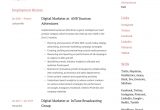 Digital Marketing Executive Resume Sample Pdf 19 Digital Marketer Resume Examples & Guide 2020 Pdf