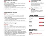 Digital Marketing Executive Resume Sample Pdf top Digital Marketing Executive Resume Examples   Expert Tips …
