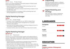 Digital Marketing Executive Resume Sample Pdf top Digital Marketing Executive Resume Examples   Expert Tips …